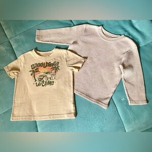 Two Garanimals Toddler Boy shirts